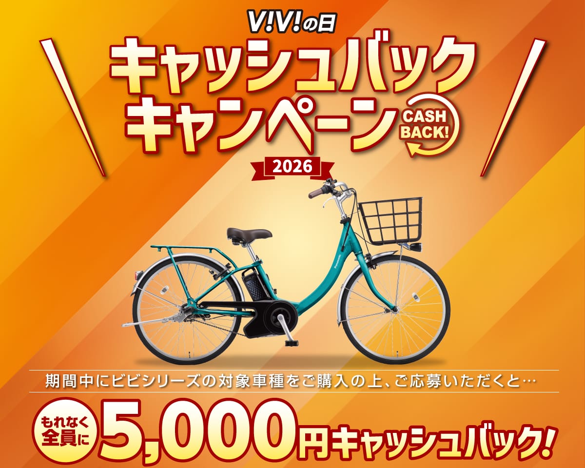 ビビシリーズの購入は6月がお得！
